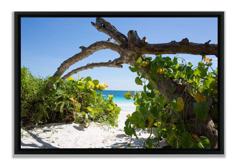 Tulum beach yucatàn