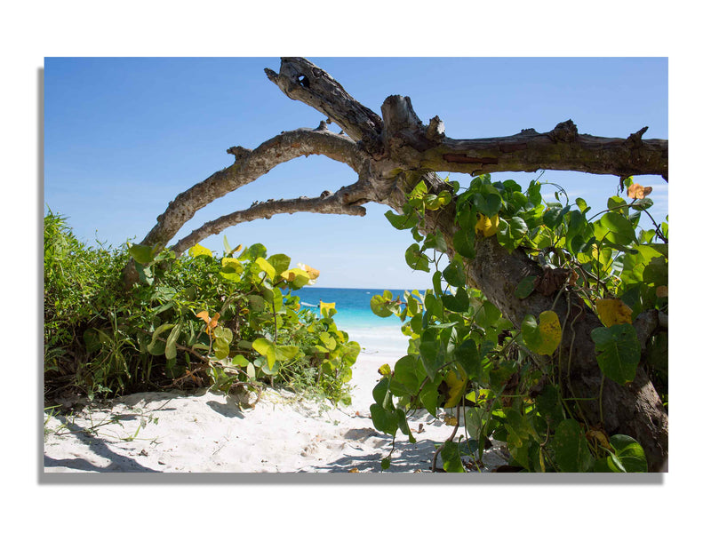 Tulum beach yucatàn