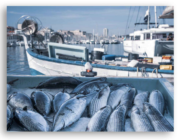 Vieux Port de Marseille le marché aux poissons