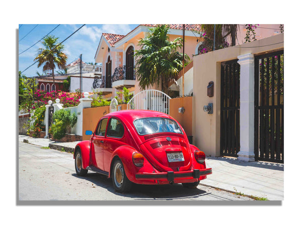 Red ladybug car